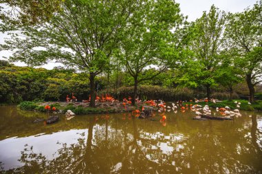 Şangay Hayvanat Bahçesi'ndeki Hayvanlar.