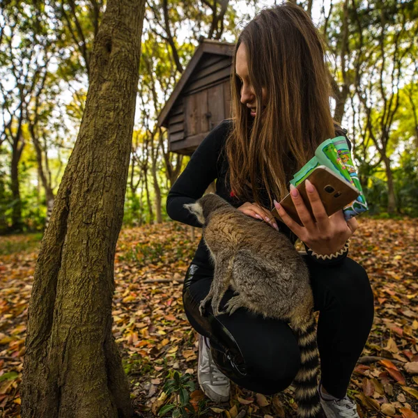 Young Girl Playing Lemur — Stock Photo, Image