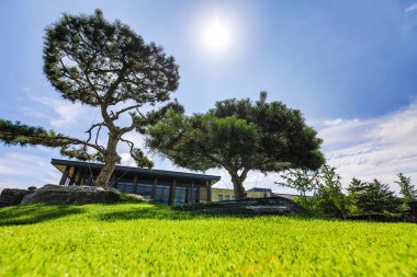 Geleneksel Çin şehri Bahçe Parkı.