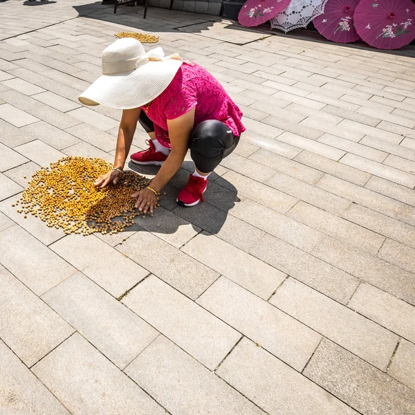 Traditional Sweet Nut Making Asia — Stock Photo, Image