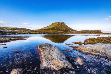 Iskoçya 'nın geleneksel doğası ile bir dağ nehri pitoresk manzara.