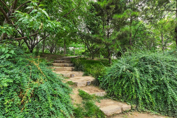 Parque Jardín Tradicional Ciudad China — Foto de Stock