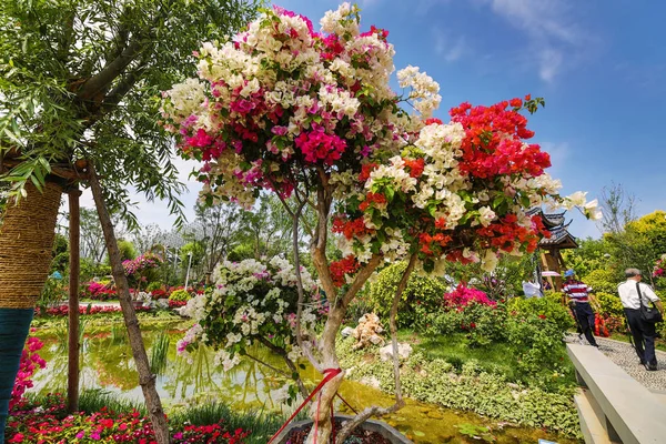 Parque Jardim Tradicional Chinês Cidade — Fotografia de Stock