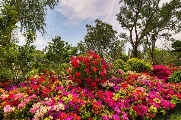 Parque Jardim Tradicional Chinês Cidade — Fotografia de Stock