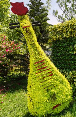 Çin'de Bahçe Dekorasyon Elemanları close-up.