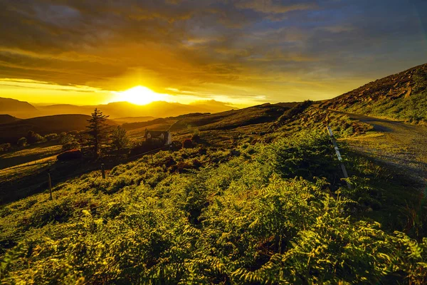 Hermoso Paisaje Escénico Escocia Naturaleza Con Hermoso Sol Noche Puesta — Foto de Stock