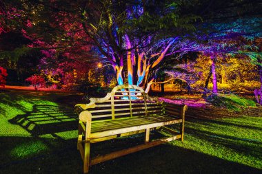 İskoç ev bahçesinin çok renkli gece ışıkları.