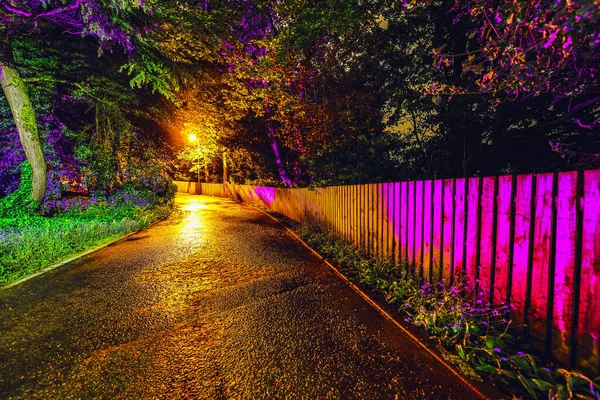 Illuminazione Notturna Multicolore Del Giardino Della Casa Scozzese — Foto Stock