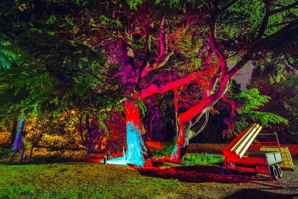 Illuminazione Notturna Multicolore Del Giardino Della Casa Scozzese — Foto Stock