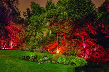 İskoç ev bahçesinin çok renkli gece ışıkları.
