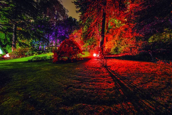 Iluminação Noturna Multicolorida Jardim Casa Escocesa — Fotografia de Stock
