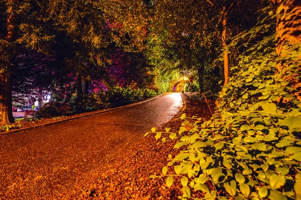 Iluminación Nocturna Multicolor Del Jardín Casa Escocesa — Foto de Stock