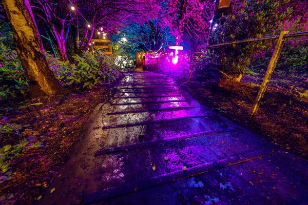 Illuminazione Notturna Multicolore Del Giardino Della Casa Scozzese — Foto Stock