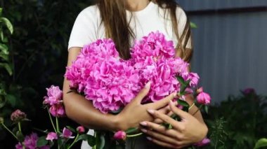 Güzel yaz bahçesi çiçekleri yakın plan.