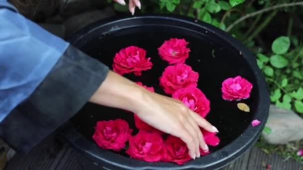 Mani femminili e petali di fiori in una ciotola. Filmati FullHD. — Video Stock