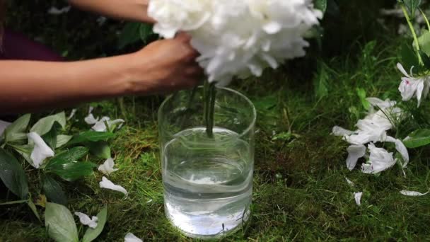 아름다운 여자 손은 흰 콩으로 만든 꽃다발을 모은다. FullHD 영상. — 비디오