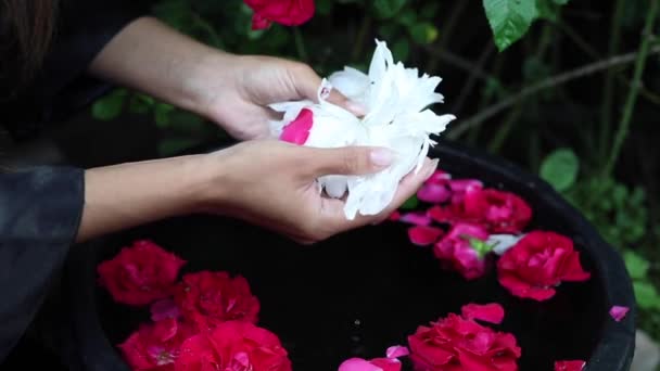 Manos femeninas y pétalos de flores en un tazón de agua. FullHD Imágenes . — Vídeos de Stock