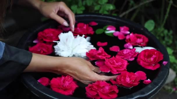 Vrouwelijke handen en bloemblaadjes in een waterbak. FullHD-beeldmateriaal. — Stockvideo