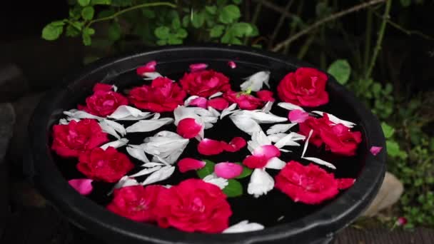 Mani femminili e petali di fiori in una ciotola. Filmati FullHD. — Video Stock