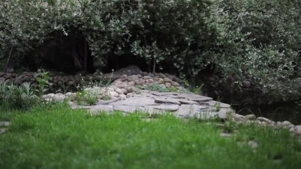 아름다운 여름 장식용 관목들 과 정원의 요소들을 가까이 서 볼 수있습니다. HD Footage. — 비디오