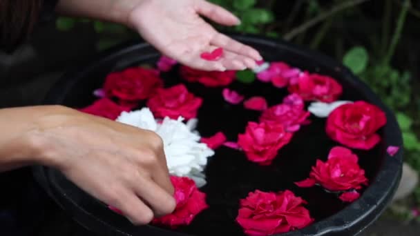 Mani femminili e petali di fiori in una ciotola. Filmati FullHD. — Video Stock