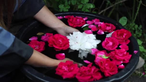 Mani femminili e petali di fiori in una ciotola. Filmati FullHD. — Video Stock