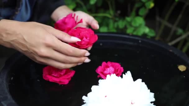 Manos femeninas y pétalos de flores en un tazón de agua. FullHD Imágenes . — Vídeos de Stock