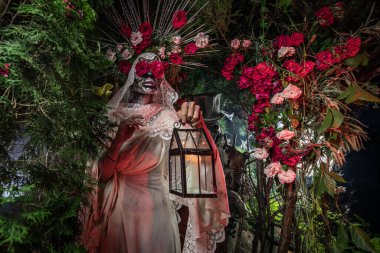 Santa Muerte 'nin muhteşem stili - Kutsal Ölüm - modern dini tarikat. Sanat Peri Masalı Fotoğrafı.