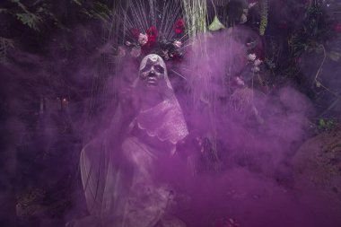 Santa Muerte 'nin muhteşem stili - Kutsal Ölüm - modern dini tarikat. Sanat Peri Masalı Fotoğrafı.