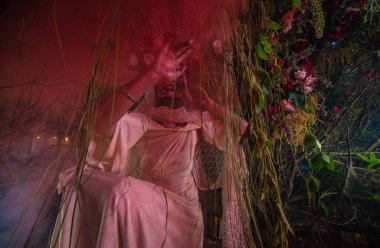 Santa Muerte 'nin muhteşem stili - Kutsal Ölüm - modern dini tarikat. Sanat Peri Masalı Fotoğrafı.