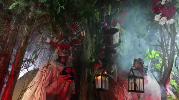 Fabulous stylization of Santa Muerte - Holy Death - modern religious cult. Concept Art fairy tale 4K footage. — Stock Video