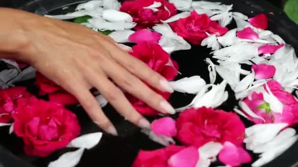 Mani femminili e petali di fiori in una ciotola. Filmati 4K. — Video Stock