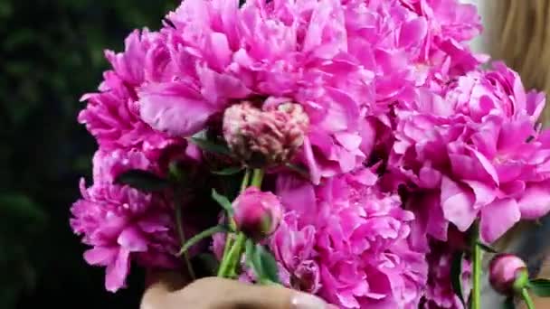 Schöne weibliche Hände sammeln einen Strauß rosa Pfingstrosen. 4K-Filmmaterial. — Stockvideo