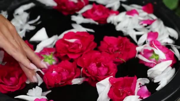 Mani femminili e petali di fiori in una ciotola. Filmati 4K. — Video Stock