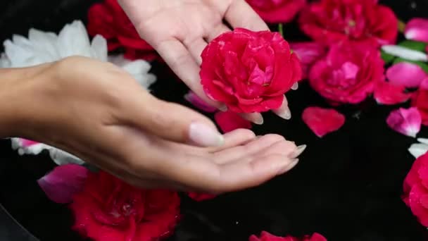 Mãos femininas e pétalas de flores em uma tigela de água. Filmagem 4K . — Vídeo de Stock