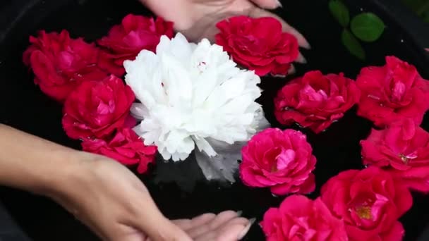 Kobiece ręce i płatki kwiatów w misce na wodę. Nagranie 4K. — Wideo stockowe