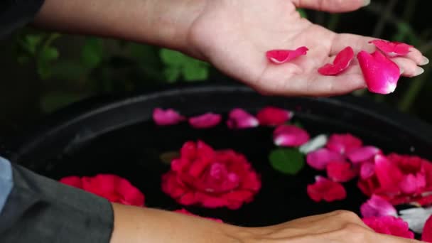 雌性的手和花瓣在一个水碗里.4K影像. — 图库视频影像