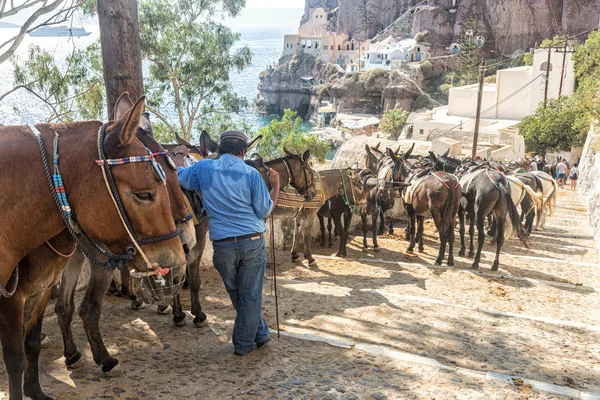 Mules Santorini — Zdjęcie stockowe