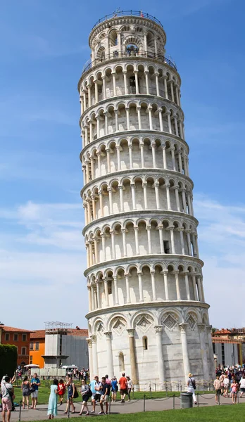 Пиза Италия 2015 Leaning Tower Pisa Cathedral Square Piazza Del — стоковое фото