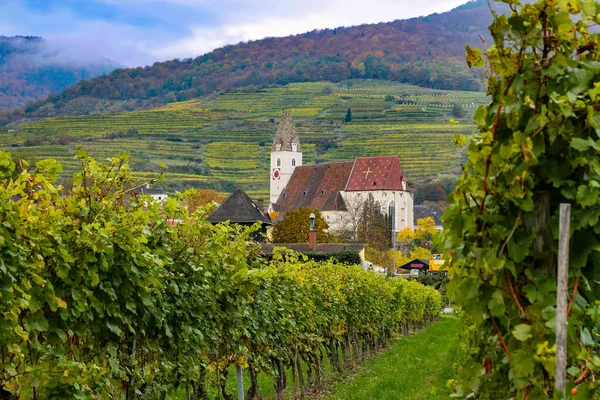 Vignoble Dans Une Petite Ville Autriche Avec Église Collines Arrière — Photo