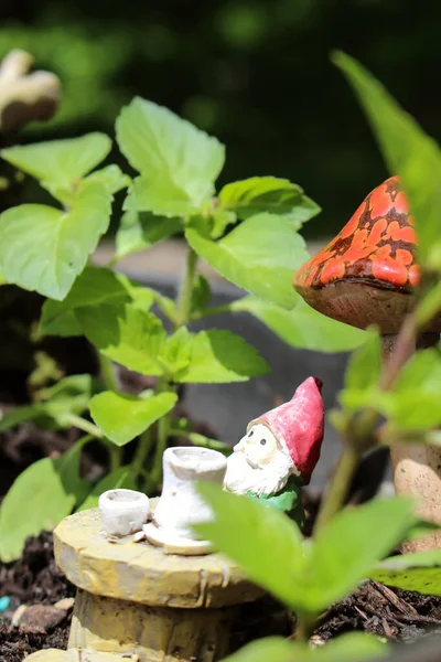 Figurka Gnome Siedzi Przy Stole Pod Grzybami Wśród Roślin Bazylii — Zdjęcie stockowe