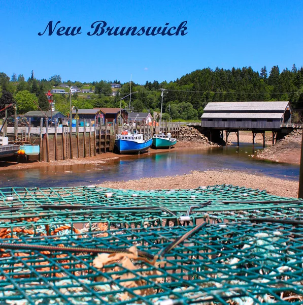 Pontile Pesca Martins New Brunswick Canada Bassa Marea Con Barche — Foto Stock