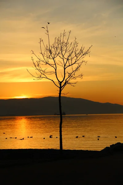 Solnedgång Stranden — Stockfoto