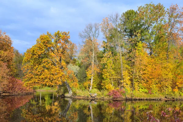 Prachtige Veelkleurige Bomen Herfst Park — Stockfoto