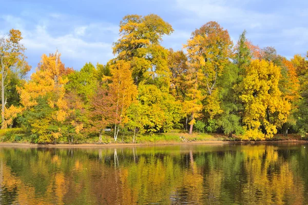 Vackra Mångfärgade Träd Parken Hösten Stockbild