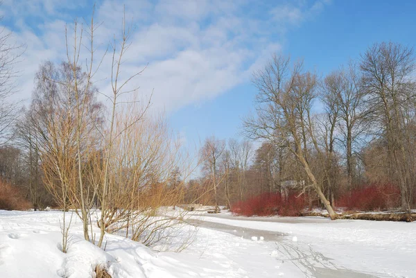 Våren i en vacker park — Stockfoto