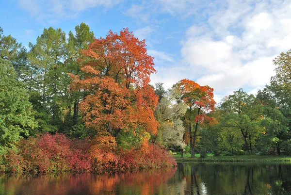 Piękny Park Jesienią — Zdjęcie stockowe