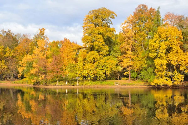 Otoño Oro Parque Muy Hermoso — Foto de Stock