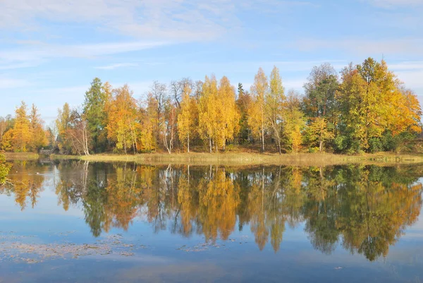 Golden Autumn Beautiful Park — Stock Photo, Image
