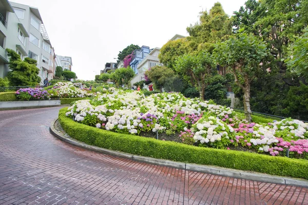 Russian Hill Lombard Street San Francisco Kalifornia Usa — Zdjęcie stockowe
